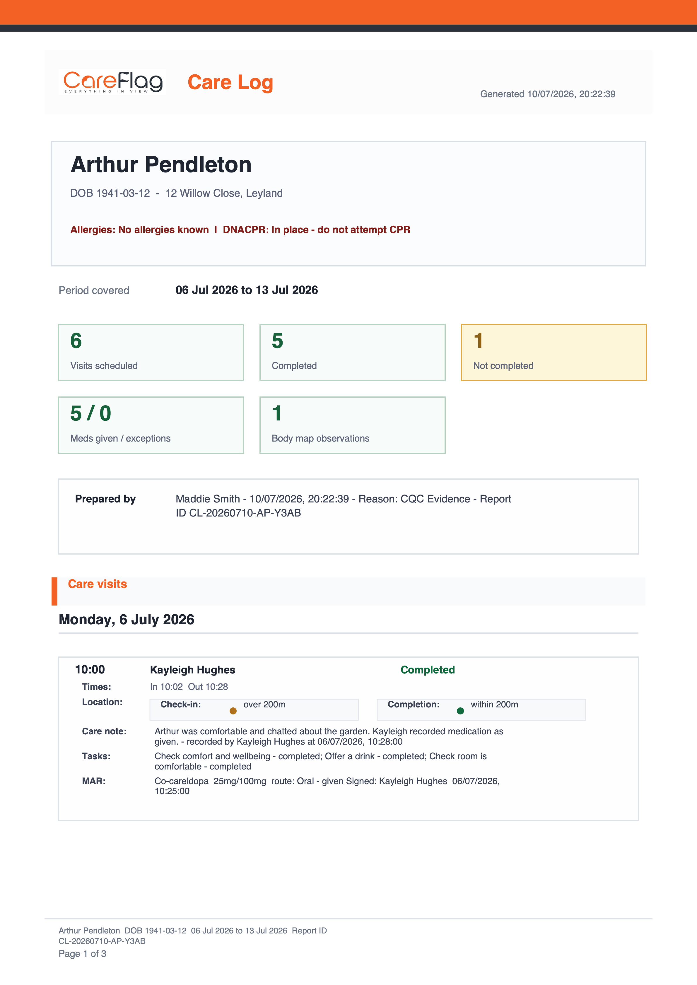 CareFlag care log report export preview
